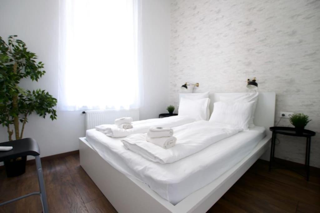 Standard By Hi5- Bajcsy 63 Appartement